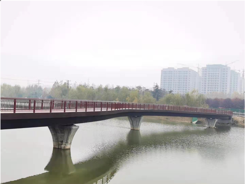钢制箱梁桥—项城市人民公园东西公园链接桥
